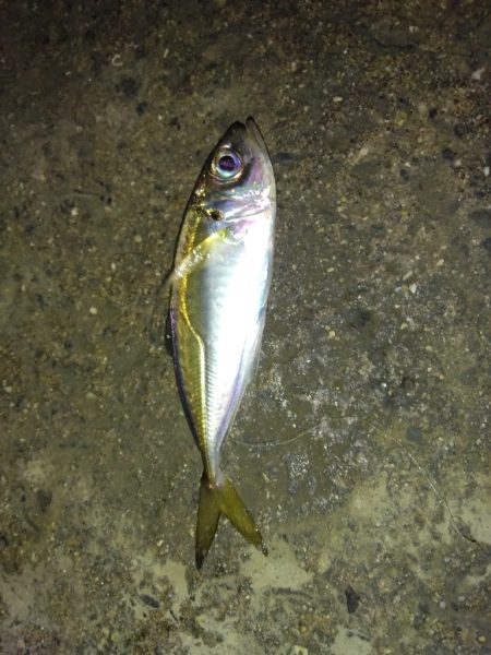 不調の原因がわかった！