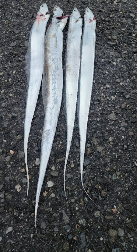 結構渋めでした