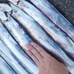 前回よりは調子↑