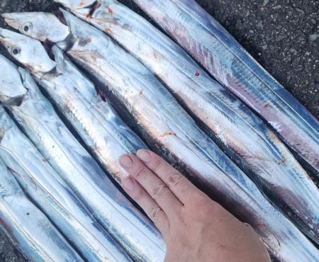 前回よりは調子↑