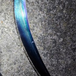 かなりお寒いです