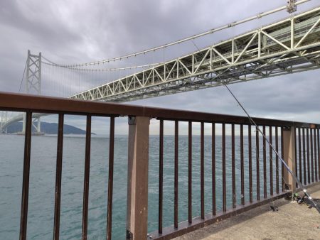 ショアジギング