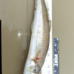 数だけは伸びた。