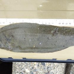 サイズが・・・