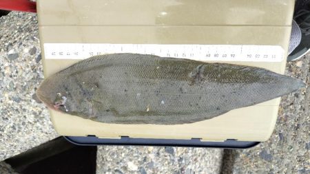 サイズが・・・