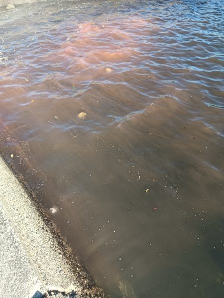 ランガン大移動失敗😣