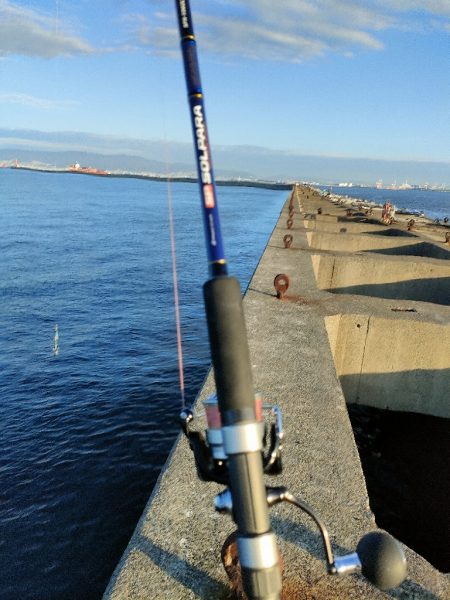 今シーズン2回目の沖堤防