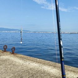 今シーズン3回目の沖堤防