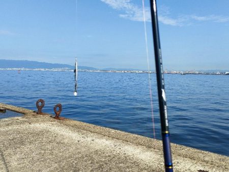 今シーズン3回目の沖堤防