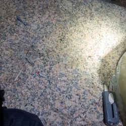 淡路◇アナゴ調査