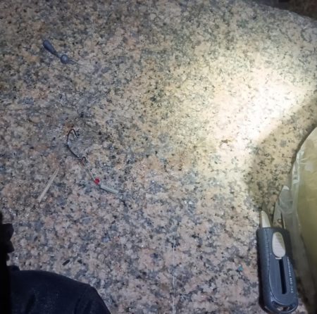 淡路◇アナゴ調査