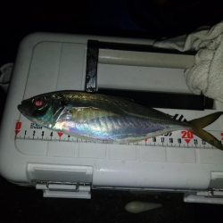 フロートゲーム~