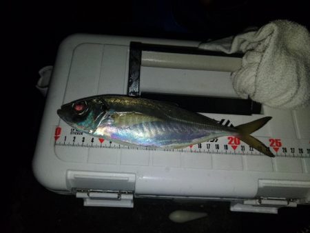 フロートゲーム~