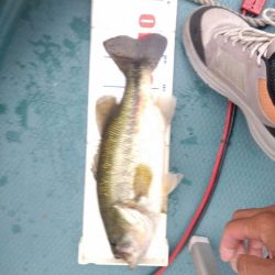 トップとビッグスプーンで釣れました。