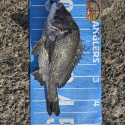 昼からのんびりふかせ釣り🎣