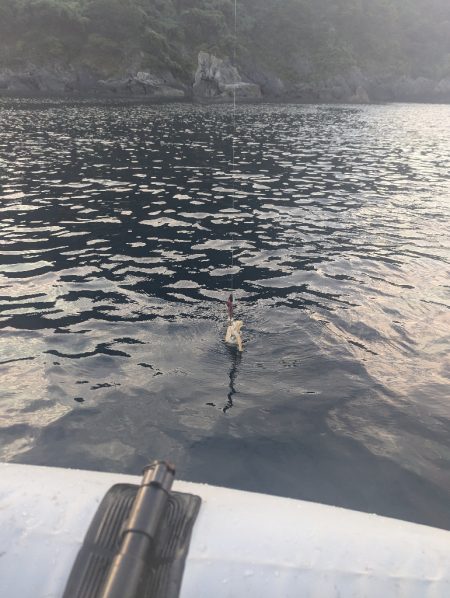 ミニボートティップラン