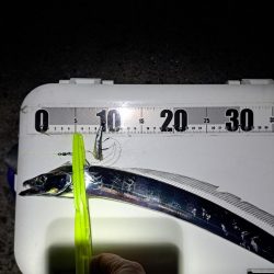 久しぶりに3連発