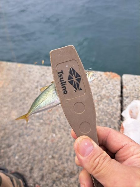 忍耐のカゴ釣り