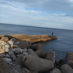 アオリイカ3杯!