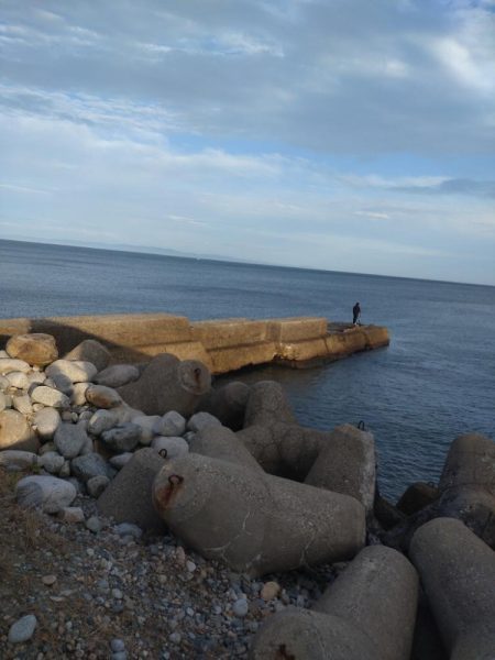 アオリイカ3杯!