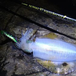 高活性エギング