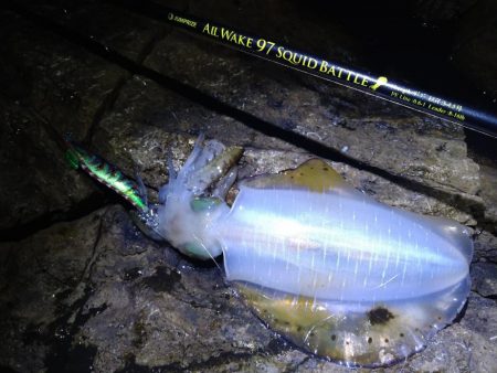 高活性エギング