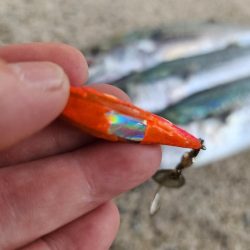 でかいの釣りたい(>_<)