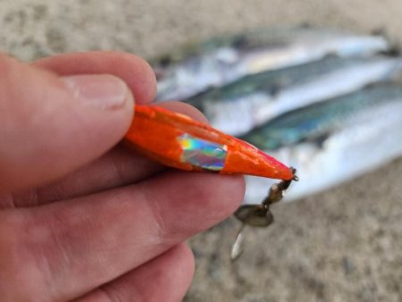 でかいの釣りたい(>_<)