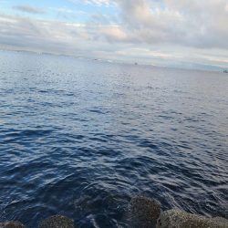 今週も好スタート🎣