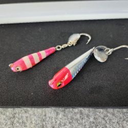 ゼブラカラー？