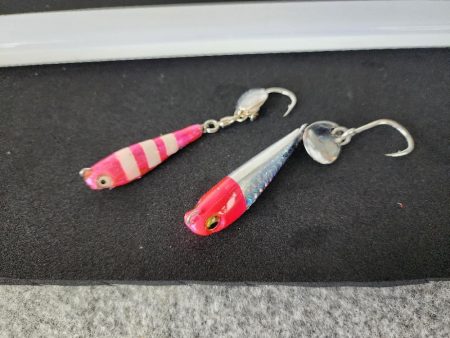 ゼブラカラー？