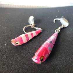 サゴシがポツポツ