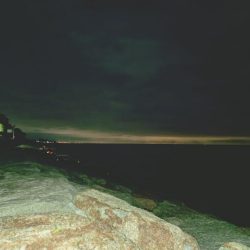 今秋初フロートアジング🎣