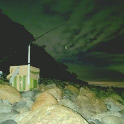 2日連続フロートアジング