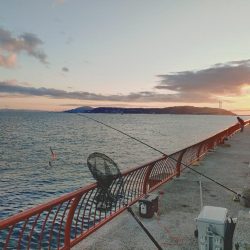 遠投カゴ釣り真鯛狙い🎣