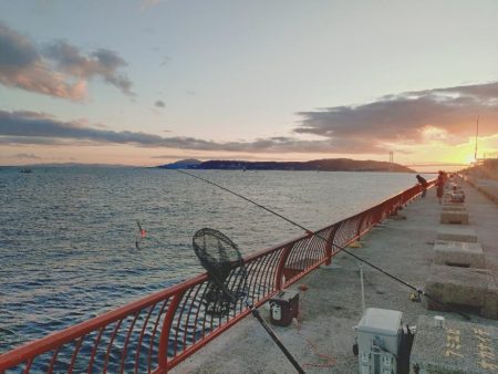 遠投カゴ釣り真鯛狙い🎣