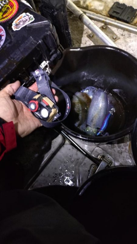 ティップラン苦戦！