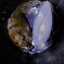 サイズアップティップラン