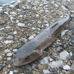 台風22号と23号のはざまで