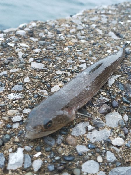 台風22号と23号のはざまで