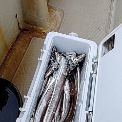 1091丸タチウオテンヤ釣り