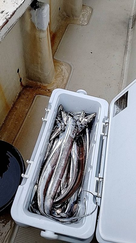 1091丸タチウオテンヤ釣り