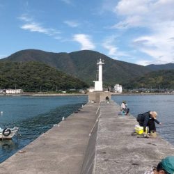 いろんな釣り方で五目釣り