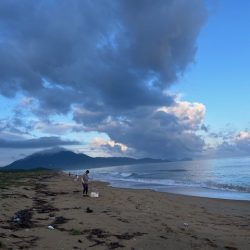 今季はなかなか来ない新松原海岸での投げ釣りです