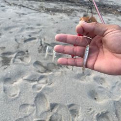 唐津の浜に行ってみました