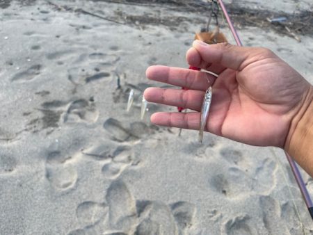 唐津の浜に行ってみました