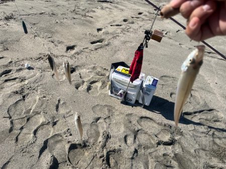 今日も唐津の浜で投げてみました