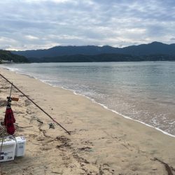 近場のサーフで投げたのですがあまり釣れませんでした