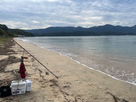 近場のサーフで投げたのですがあまり釣れませんでした