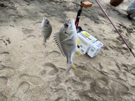 大会の下見で釣ってみました